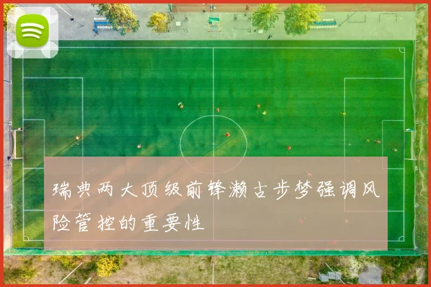 瑞典两大顶级前锋濑古步梦强调风险管控的重要性