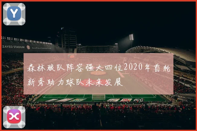 森林狼队阵容强大四位2020年首轮新秀助力球队未来发展